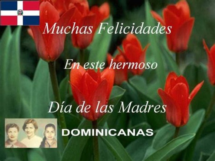 Feliz Dia De Las Madres Dominicanas